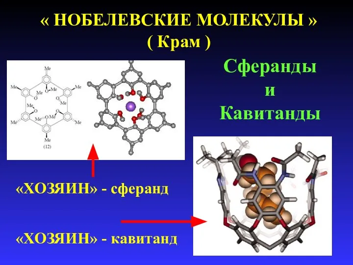 « НОБЕЛЕВСКИЕ МОЛЕКУЛЫ » ( Крам ) Сферанды и Кавитанды «ХОЗЯИН» - сферанд «ХОЗЯИН» - кавитанд