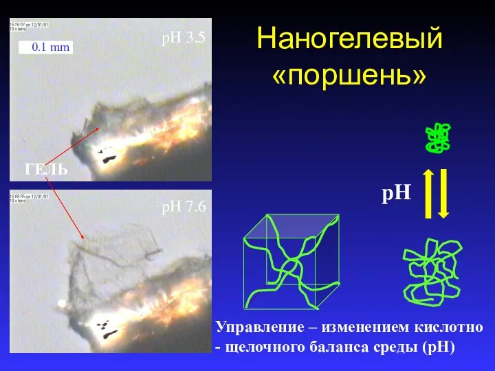 Наногелевый «поршень» pH ГЕЛЬ pH 7.6 pH 3.5 Управление – изменением