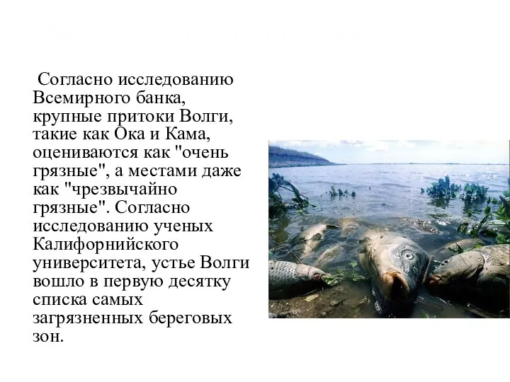 Согласно исследованию Всемирного банка, крупные притоки Волги, такие как Ока и