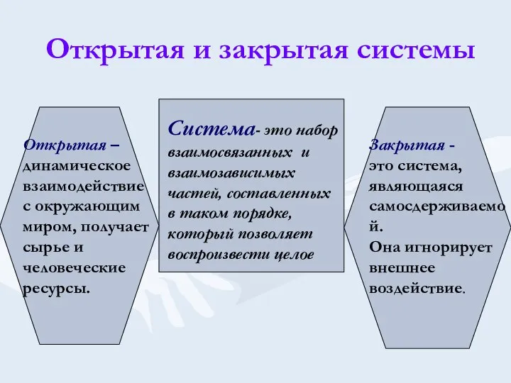 Открытая и закрытая системы Система- это набор взаимосвязанных и взаимозависимых частей,