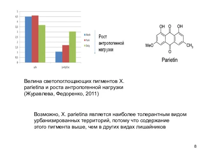 Велина светопоглощающих пигментов X. рarietina и роста антропогенной нагрузки (Журавлева, Федоренко,