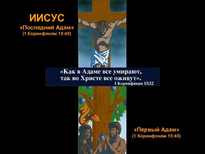 ИИСУС «Последний Адам» (1 Коринфянам 15:45) «Первый Адам» (1 Коринфянам 15:45)