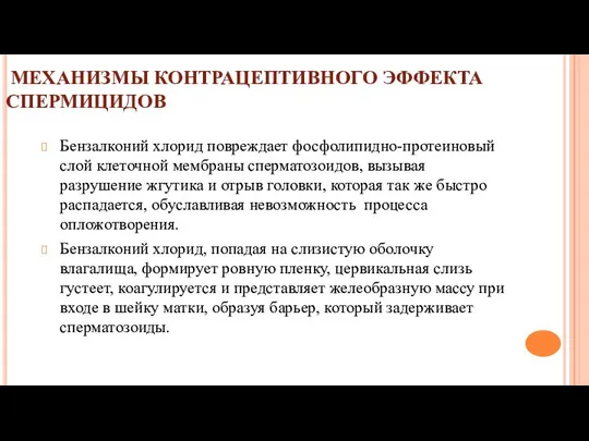 МЕХАНИЗМЫ КОНТРАЦЕПТИВНОГО ЭФФЕКТА СПЕРМИЦИДОВ Бензалконий хлорид повреждает фосфолипидно-протеиновый слой клеточной мембраны