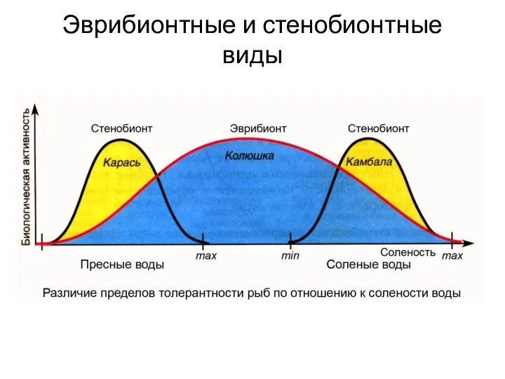 Эврибионтные и стенобионтные виды