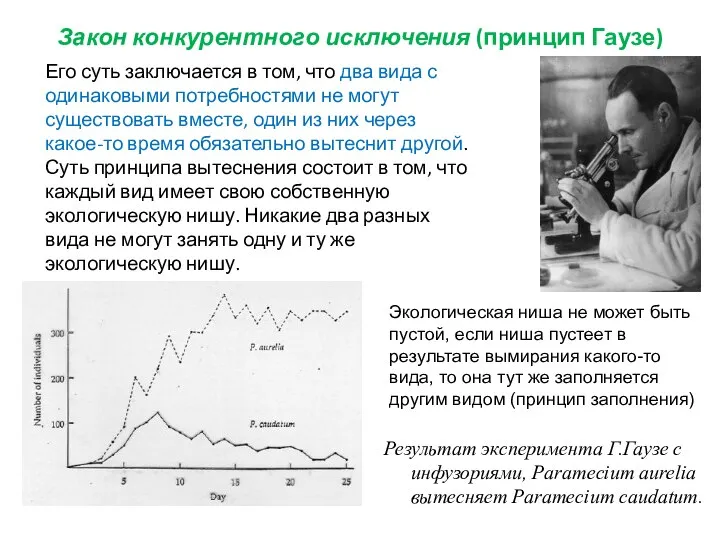 Закон конкурентного исключения (принцип Гаузе) Его суть заключается в том, что