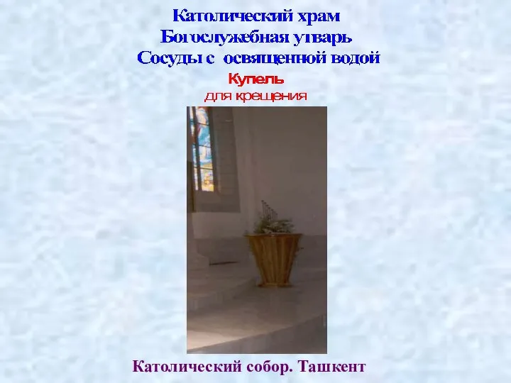 Католический собор. Ташкент