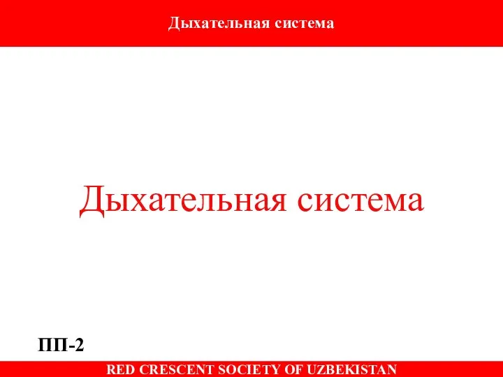 Дыхательная система ПП-2 Дыхательная система