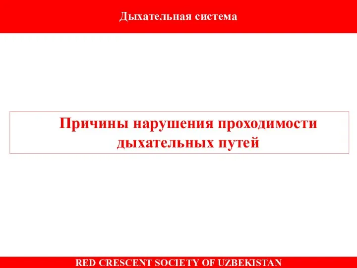 Причины нарушения проходимости дыхательных путей Дыхательная система