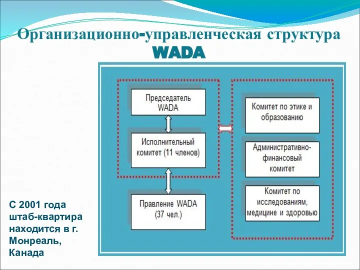 Организационно-управленческая структура WADA С 2001 года штаб-квартира находится в г. Монреаль, Канада