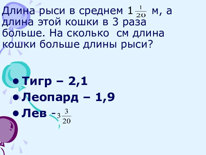 Длина рыси в среднем 1 м, а длина этой кошки в