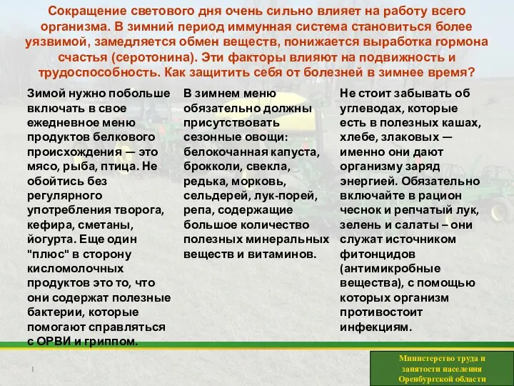 Министерство труда и занятости населения Оренбургской области Сокращение светового дня очень