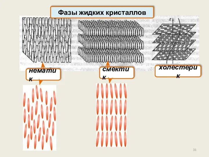 Фазы жидких кристаллов нематик смектик холестерик
