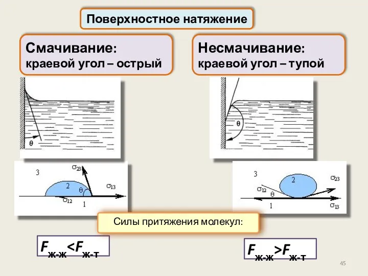 Поверхностное натяжение Fж-ж Смачивание: краевой угол – острый Несмачивание: краевой угол