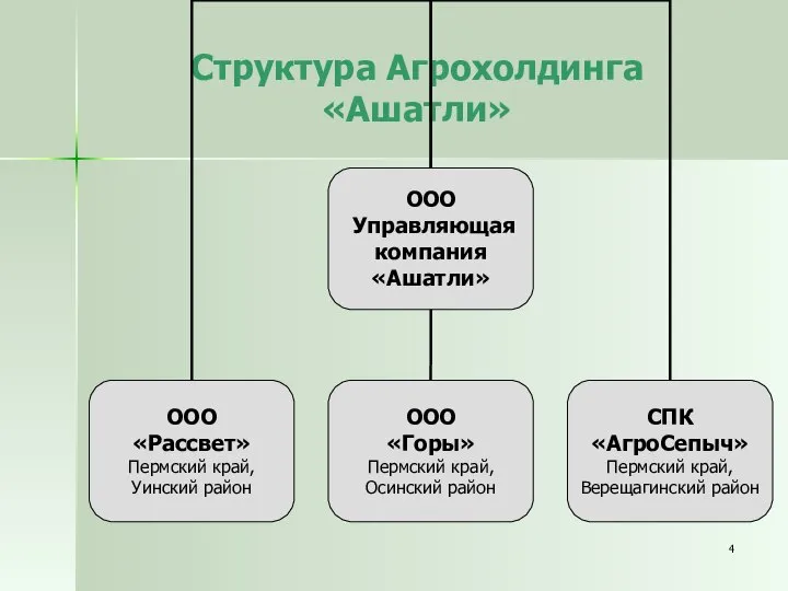 Структура Агрохолдинга «Ашатли»