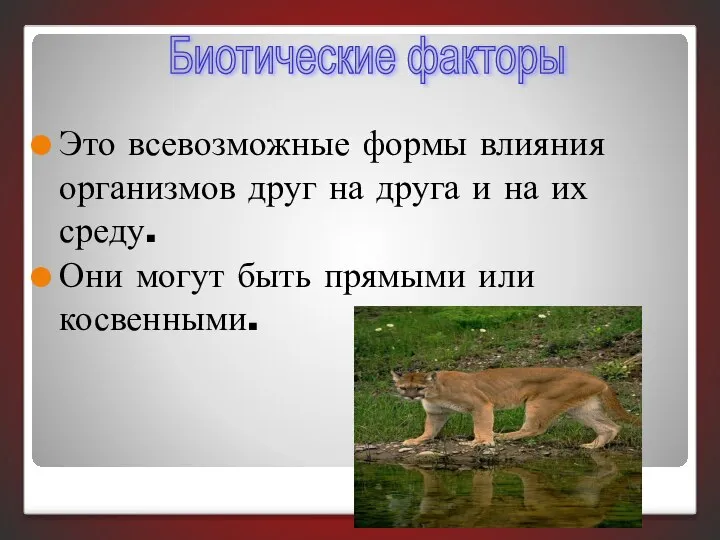 Это всевозможные формы влияния организмов друг на друга и на их