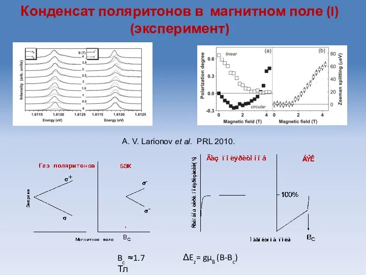 А. V. Larionov et al. PRL 2010. Конденсат поляритонов в магнитном