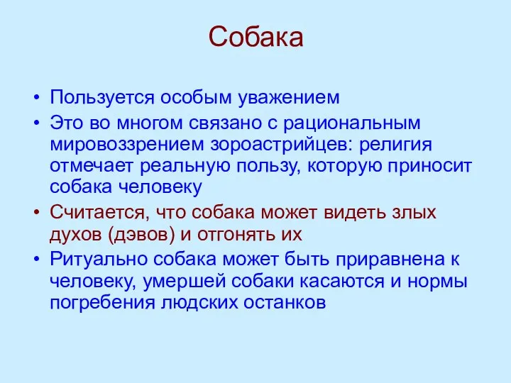 Собака Пользуется особым уважением Это во многом связано с рациональным мировоззрением