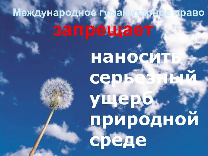 Международное гуманитарное право наносить серьезный ущерб природной среде запрещает