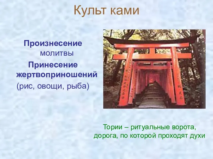 Культ ками Произнесение молитвы Принесение жертвоприношений (рис, овощи, рыба) Тории –