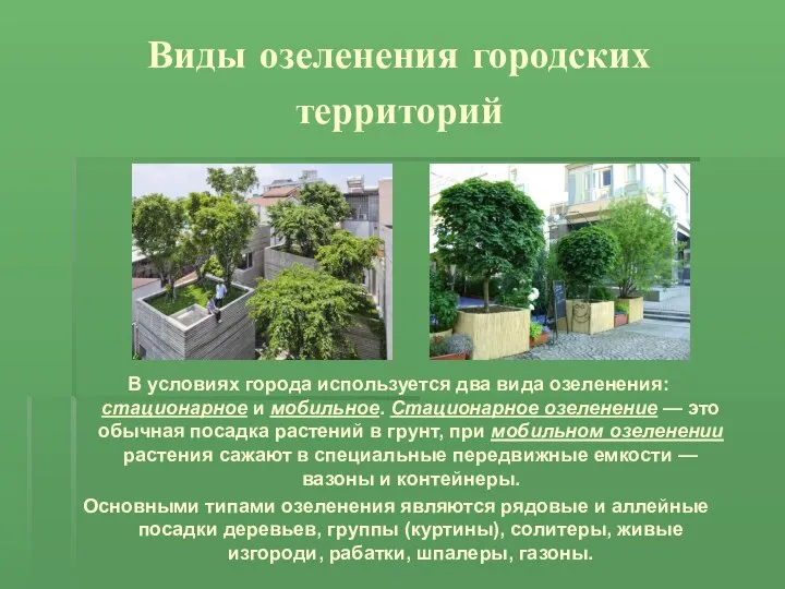 Виды озеленения городских территорий В условиях города используется два вида озеленения: