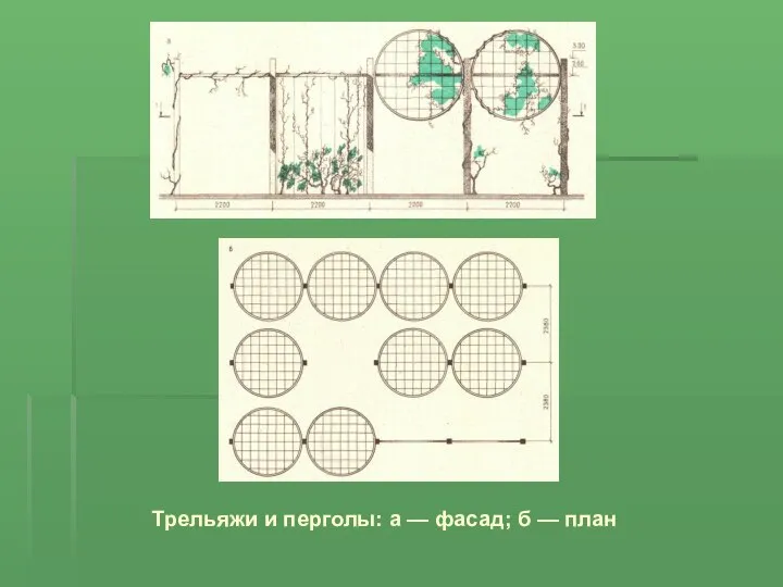 Трельяжи и перголы: а — фасад; б — план