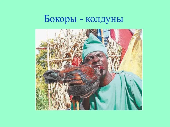 Бокоры - колдуны