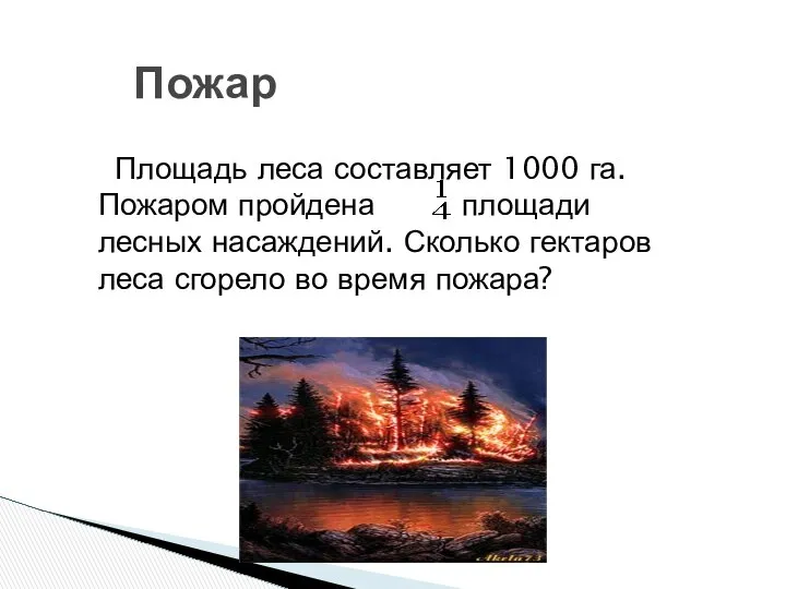 Пожар Площадь леса составляет 1000 га. Пожаром пройдена площади лесных насаждений.