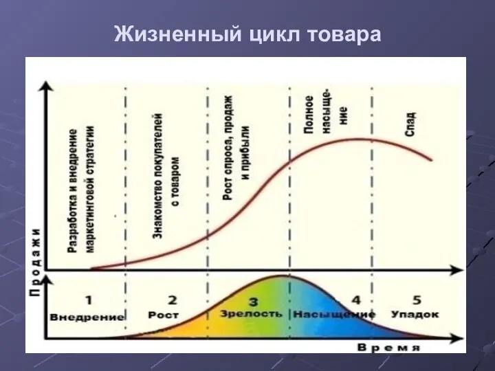 Жизненный цикл товара