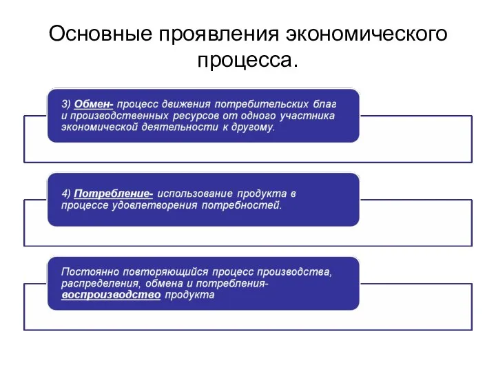 Основные проявления экономического процесса.