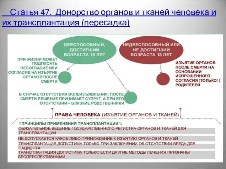 Статья 47. Донорство органов и тканей человека и их трансплантация (пересадка)