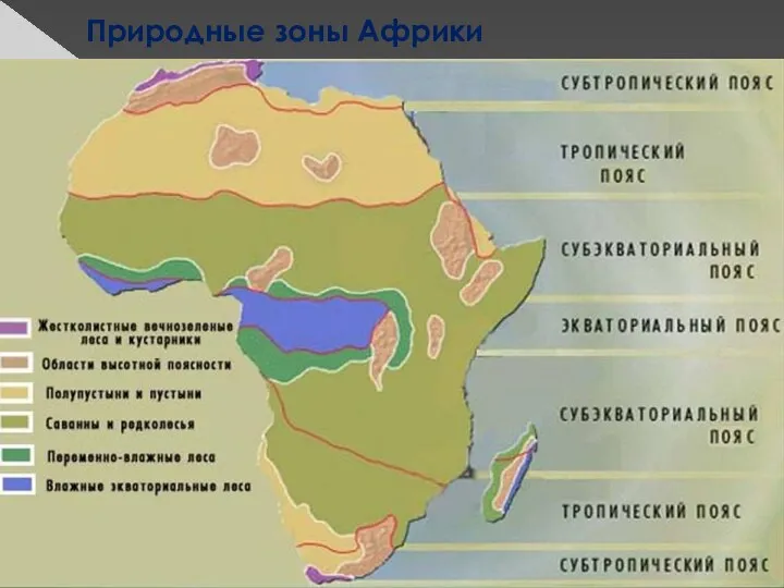 Природные зоны Африки