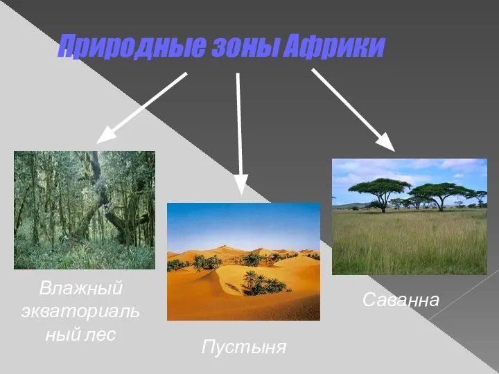 Природные зоны Африки Влажный экваториальный лес Саванна Пустыня