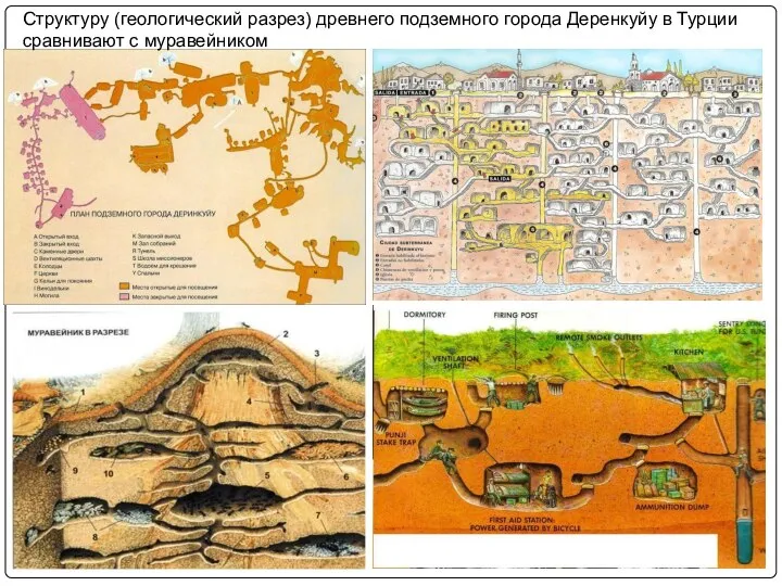 Структуру (геологический разрез) древнего подземного города Деренкуйу в Турции сравнивают с муравейником