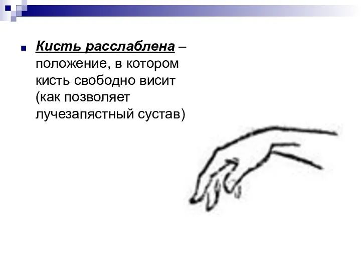 Кисть расслаблена – положение, в котором кисть свободно висит (как позволяет лучезапястный сустав)