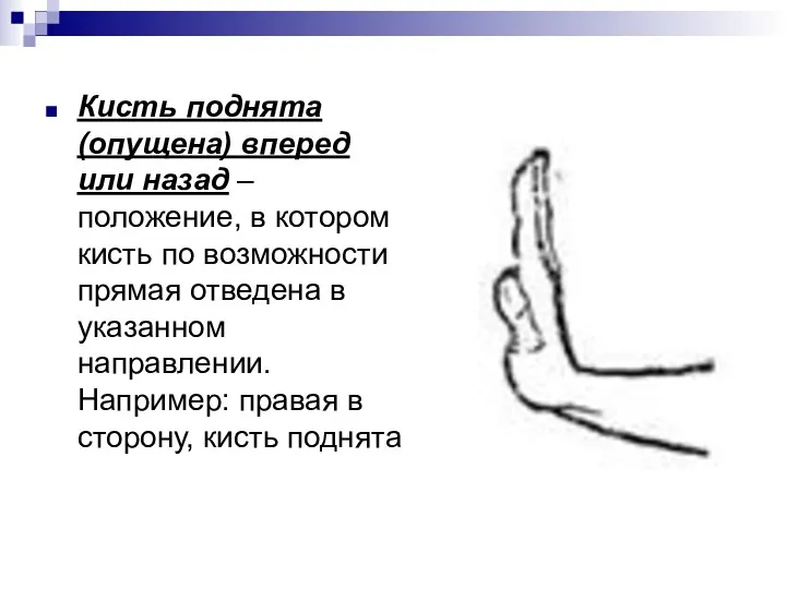 Кисть поднята (опущена) вперед или назад – положение, в котором кисть