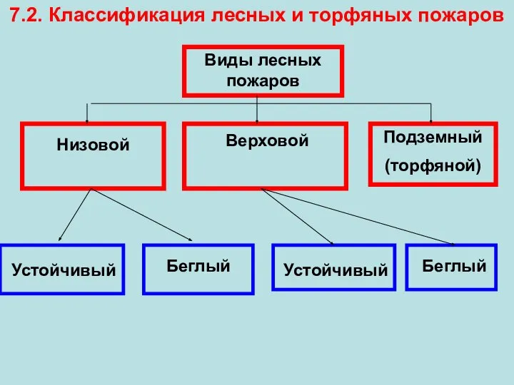 7.2. Классификация лесных и торфяных пожаров Виды лесных пожаров Низовой Верховой