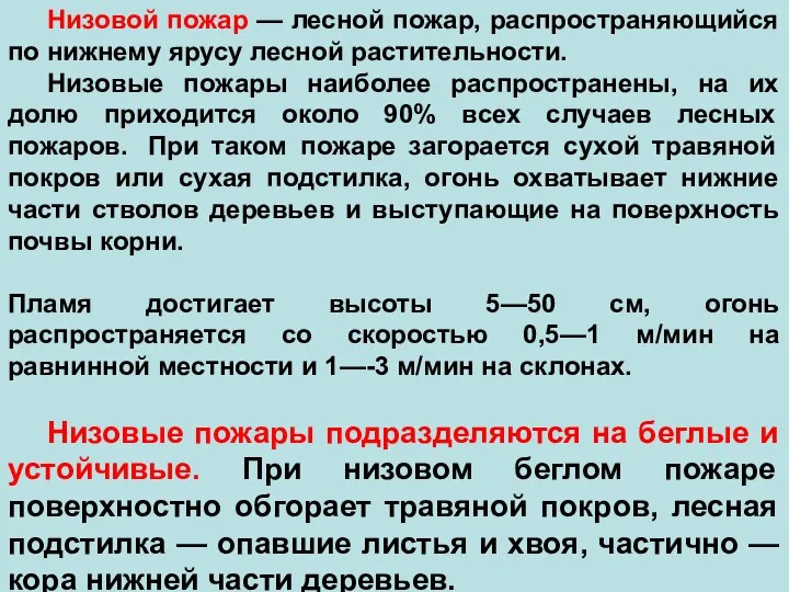 Низовой пожар — лесной пожар, распространяющийся по нижнему ярусу лесной растительности.