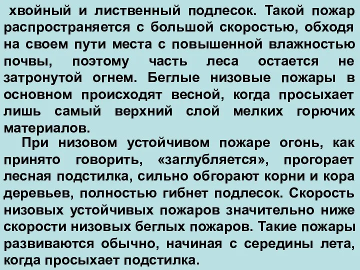 хвойный и лиственный подлесок. Такой пожар распространяется с большой скоростью, обходя