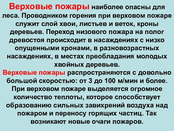 Верховые пожары наиболее опасны для леса. Проводником горения при верховом пожаре