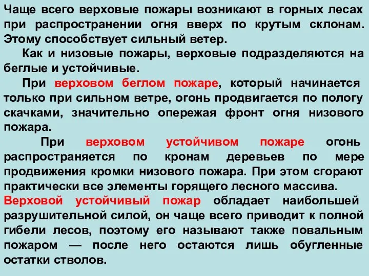 Чаще всего верховые пожары возникают в горных лесах при распространении огня