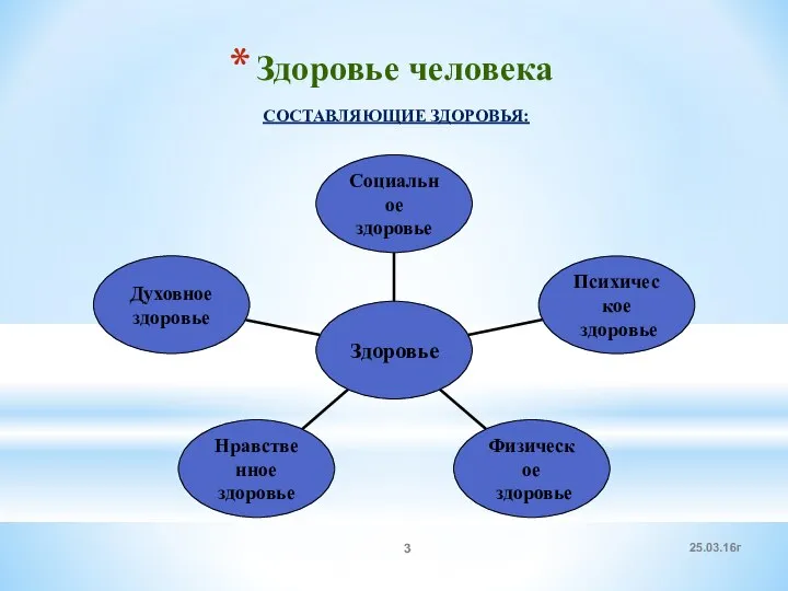 Здоровье человека СОСТАВЛЯЮЩИЕ ЗДОРОВЬЯ: 25.03.16г