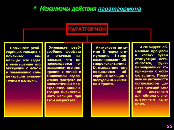 * Механизмы действия паратгормона ПАРАТГОРМОН Повышает реаб-сорбцию кальция в почечных ка-нальцах,