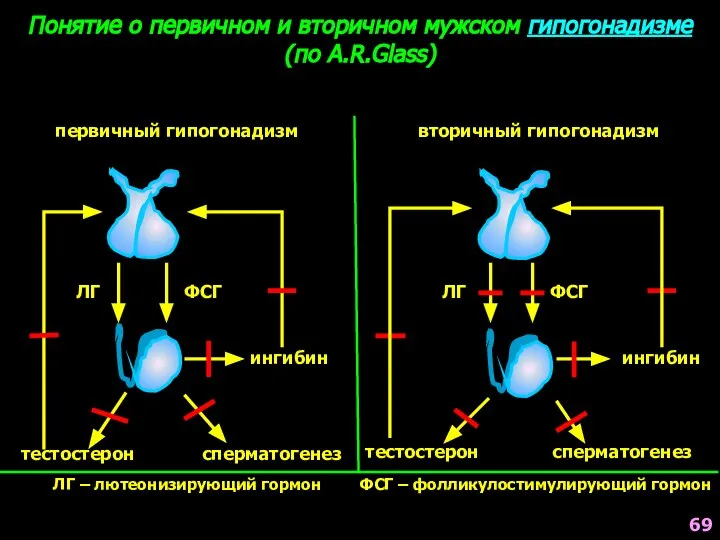 Понятие о первичном и вторичном мужском гипогонадизме (по A.R.Glass) первичный гипогонадизм