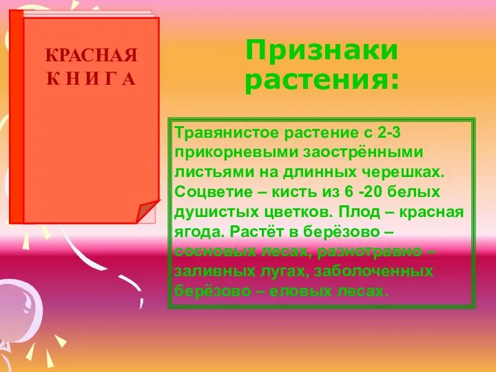 Признаки растения: Травянистое растение с 2-3 прикорневыми заострёнными листьями на длинных