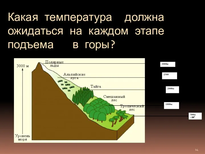 Какая температура должна ожидаться на каждом этапе подъема в горы?