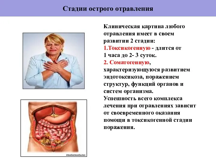 Стадии острого отравления Клиническая картина любого отравления имеет в своем развитии