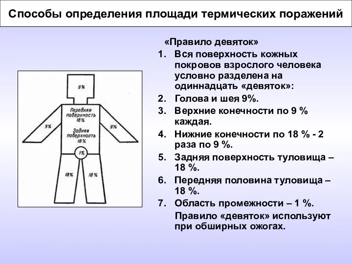 Способы определения площади термических поражений «Правило девяток» Вся поверхность кожных покровов