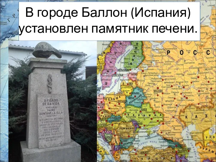 В городе Баллон (Испания) установлен памятник печени.