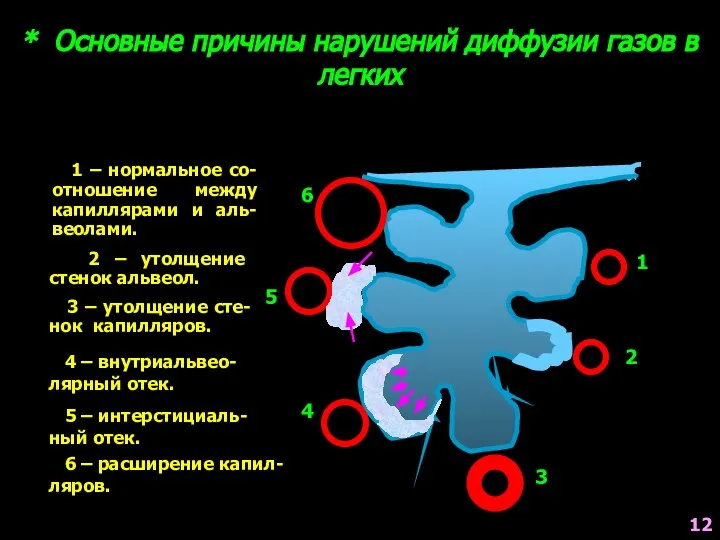 * Основные причины нарушений диффузии газов в легких 1 – нормальное