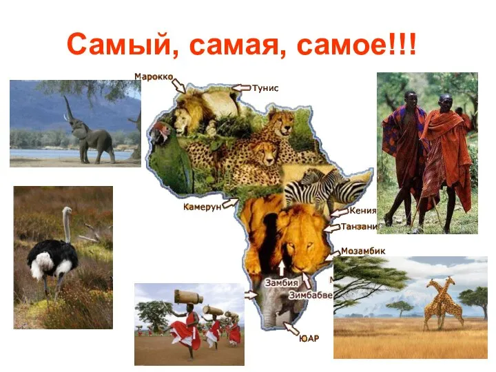 Самый, самая, самое!!!